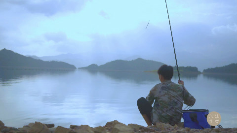 广东第二大南水湖钓罗非鱼,鱼获满满,现煮现吃,心里美滋滋!